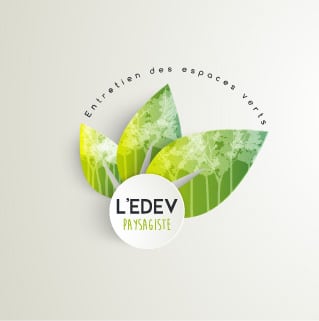 Presentation logo edev light